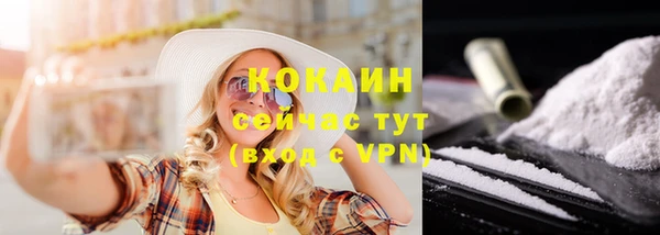 прущие грибы Нея