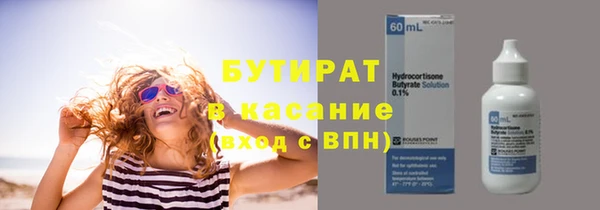 прущие грибы Вязьма