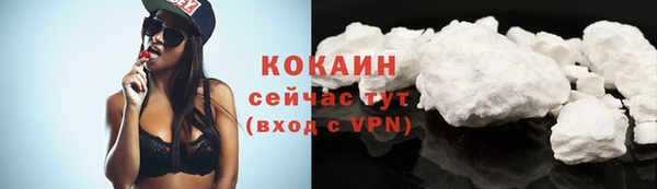 прущие грибы Нея