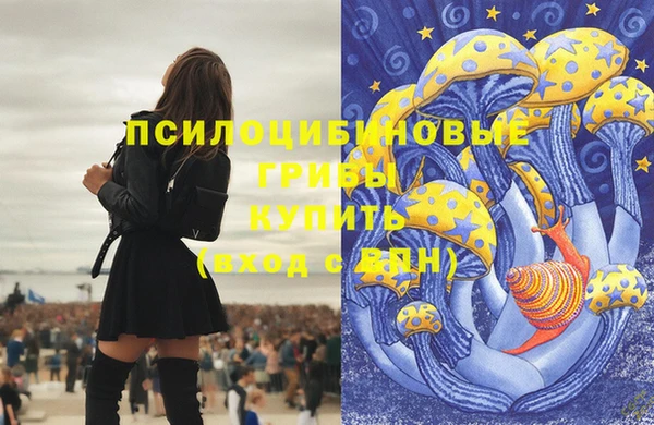 прущие грибы Нея