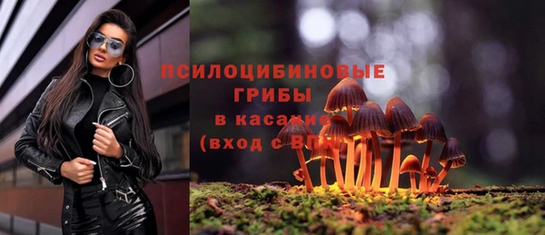 шишки Беломорск