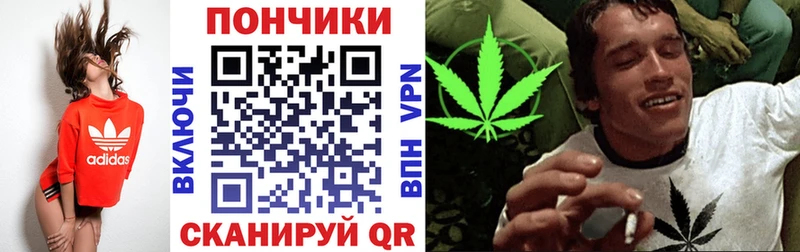 сколько стоит  Злынка  Шишки марихуана AK-47 